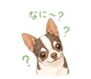 852710404