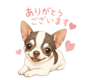852710406