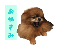 852713220