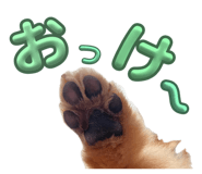 852713223