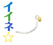 852713258