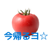 852713270