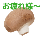 852713273