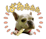 852714083