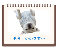852714084