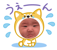 852714416