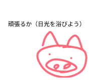 852714895