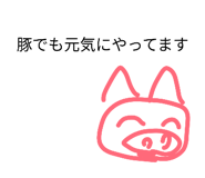 852714896