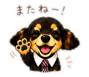852715616