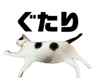 852715784