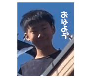 852716115