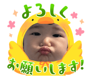 852716637