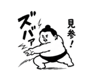 852717156