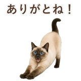 852717369