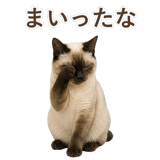 852717371