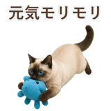 852717372