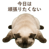 852717382