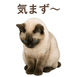 852717384