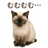 852717386
