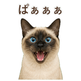 852717394
