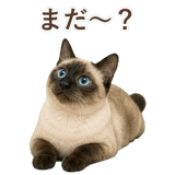 852717396