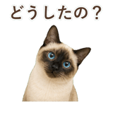 852717398