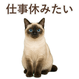 852717402