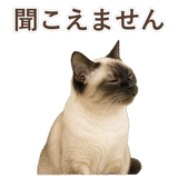 852717403