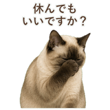 852717405