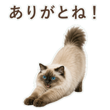 852717489
