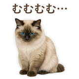 852717506