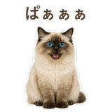852717514