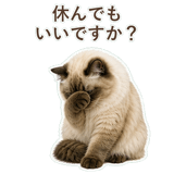 852717525
