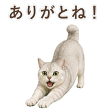 852717569