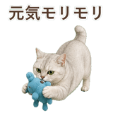 852717572