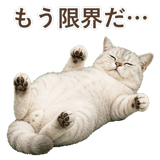 852717573