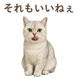 852717577
