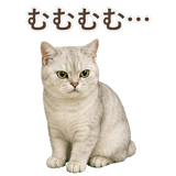 852717586