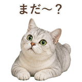 852717596