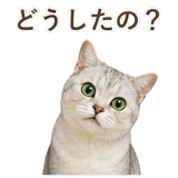 852717598