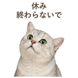 852717601
