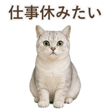 852717602