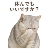 852717605
