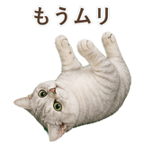 852717606