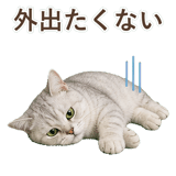 852717607