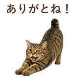 852717609