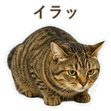 852717610