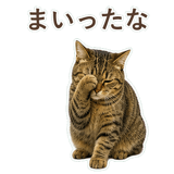 852717611