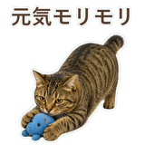 852717612