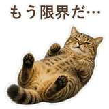 852717613